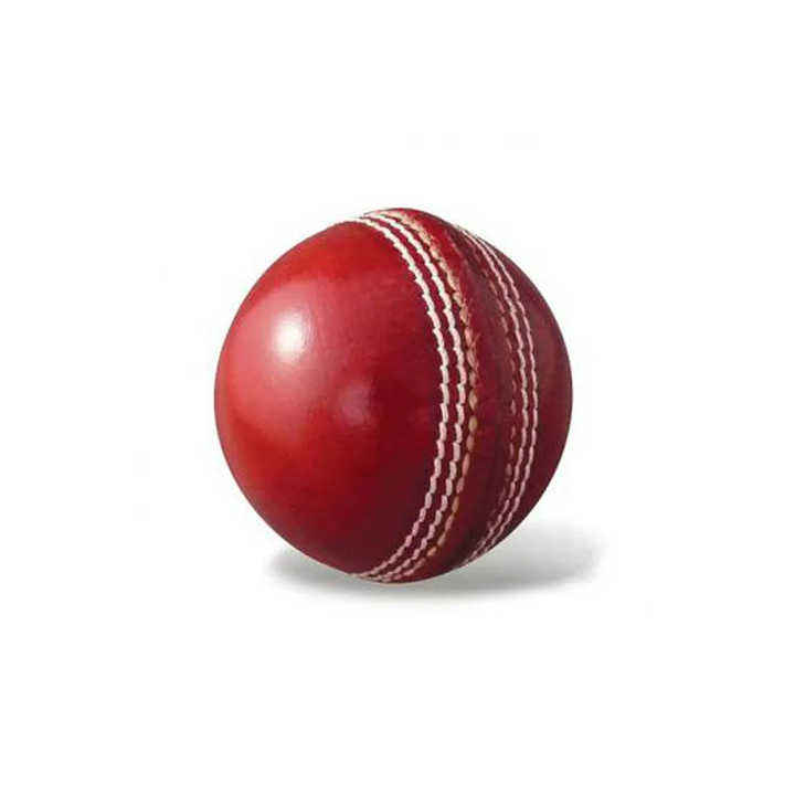 Cricket Ball